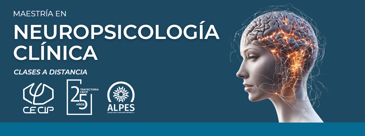 BANNER-DE-ESCRITORIO